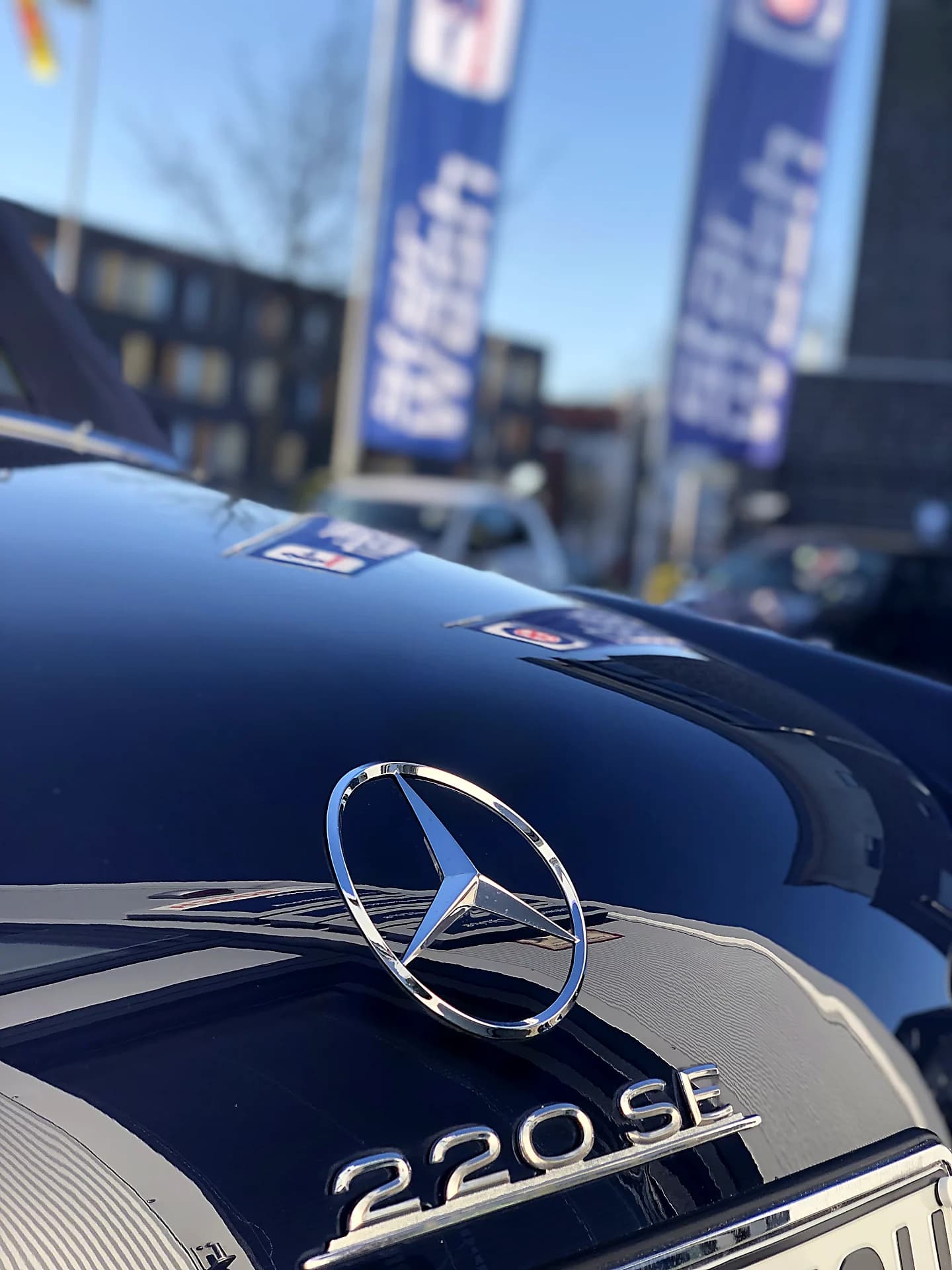 Mercedes 220 SE Oldtimer mit Stern Nahaufnahme